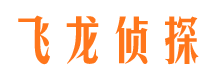 津市私家调查公司